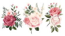 Collection Of Soft Pastel Peonies And Roses Flowers Isolated On A Transparent Background