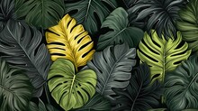 Tropical Wet Bright Green Leaves Background With Fern, Palm And Monstera Deliciosa Leaf With Bright Toning, Floral Jungle Pattern Concept Background