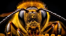 A Close-up Of A Bee Covered In Pollen, Showcasing The Golden Grains Clinging To Its Body And The Determined Look In Its Compound Eyes, Illustrating The Vital Role Of Pollinators In Ecosystems.