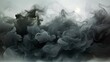 Black smoke against white background moving around. Smoke,Vapor,Fog slow motion realistic smoke. Cloud for using in composition. Transition from white to black