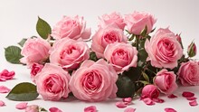 "Pink Roses Bloom: Computer Graphics By Marie Angel On White Background"