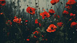 Field of poppy flowers background 