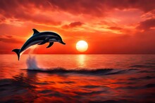 Dolphins At Sunset