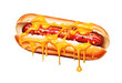 Hot dog watercolor illustration isolated on transparent background