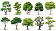 Big set of 3D Green Trees Isolated on white background , Use for visualization in architectural design or garden decorate