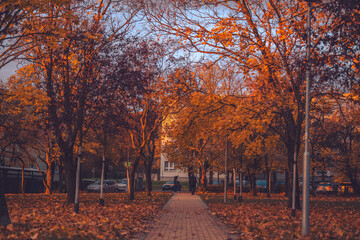 Person walking in the park