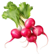 Red Radish Vegetable On Transparent Background