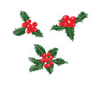Set of holly berries on a white background for christmas