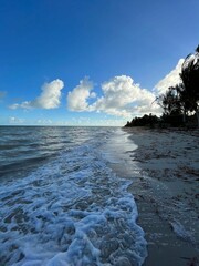 Poster - a large body of water near a sandy shore with a few trees