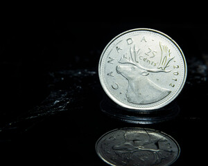 Wall Mural - Canadian cent coin on a black background
