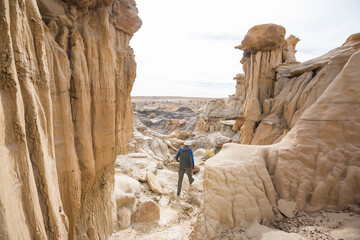 Canvas Print - Bisti