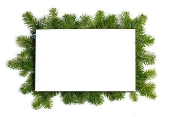 Poster - Christmas border of fir branches