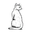  a black and white drawing of a cat sitting on its hind legs and looking off to the side with a serious look on its face.