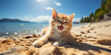 Cute Cat Resting On A Sandy Beach Near The Sea And Basking In The Sun
