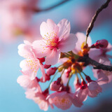 Fototapeta Kwiaty - sakura in springtime. ai generative