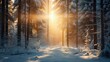 Snowfall in coniferous winter forest, morning sun rays breaking through trees, spruce branches under snow
