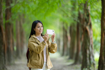 Wall Mural - Hike woman use cellphone to take photo in forest