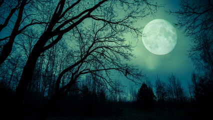 Wall Mural - night sky with moon and dramatic trees. dramatic clouds in mystic moonlight. large bright moon as co