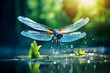 A dragonfly emerging from the water.