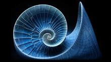 Beautiful Nautilus Art, Abstract Background