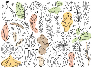 Poster - Different food and drink spices and seasoning hand drawn lined doodle set vector illustration