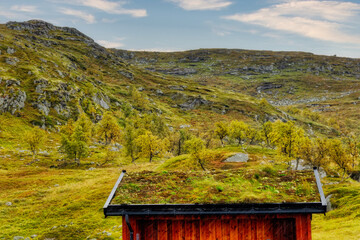 Sticker - Sod Roof near Eidfjord