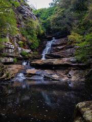 Canvas Print - beautiful view of oxford falls after rain, sydney, australia.
