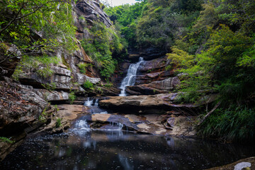 Canvas Print - beautiful view of oxford falls after rain, sydney, australia.