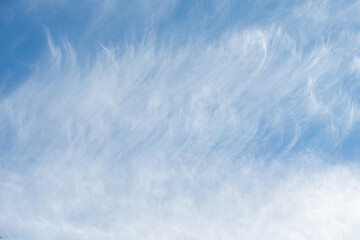 Wall Mural - Wispy white clouds on a blue sky, as a nature background
