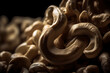 A close up of cashew nut