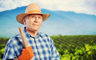 Poster - Farming, portrait of man in agriculture field.