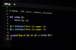 © yursavieno - Software program source code of Python IDE code editor display photo