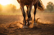 galloping brown horse close-up