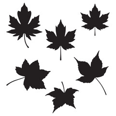 set of maple leaves. isolated maple leaves on the white background. maple leaves silhouettes.