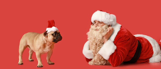 Wall Mural - Santa Claus and cute French bulldog on red background