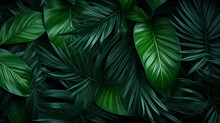 Foliage Background From Palm Leaves