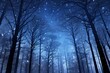 별이 반짞이는 숲의 밤하늘