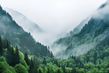 Image Of Mountain Landscape Blanketed In Ethereal Fog, With Dense Forest At Its Base, Showcasing Tranquil And Mystical Beauty Of Nature In Mist