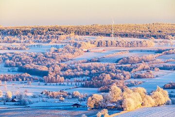 Poster - Rural landscape view with snow and frost