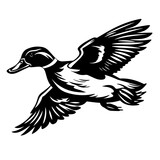 Fototapeta  - Flying Mallard Duck