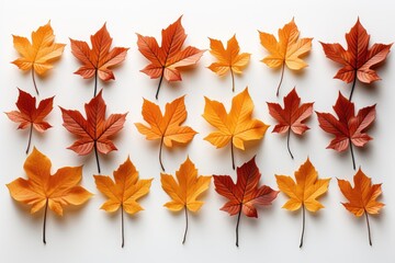 Wall Mural - a captivating abstract backdrop adorned with autumn leaves meticulously laid flat against a pristine