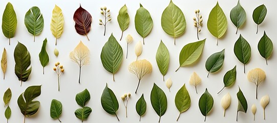 Wall Mural - in a wide-format composition, an abstract background is crafted with a harmoniously arranged collect