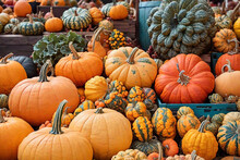 Colorful Pumpkins And Gourds On Autumn Market. Autumn Background