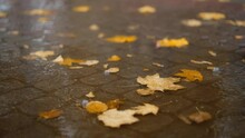 Closeup Rain Drops Falling On Puddle With Yellow Maple Leaves Reflection On City Sidewalk. Rain Drops With Street Paving Slabs And Colorful Foliage Blur Bokeh Abstract 4k Stock Footage