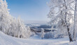 Aerial view in winter time from the top of the hill. Snow covered slope and trees on the hill in Russia