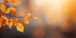 © Noize - Leaves with copy space background. Leaves bokeh background. Autumn Leaves. Green and Yellow leaves with bokeh lights in the background. Typography free backgrounds.