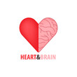 Halves of heart and brain. Concept of heart and brain, conflict between emotions and rational thinking, teamwork and balance between soul and intellect. Banner, flyer, web poster. Vector illustration