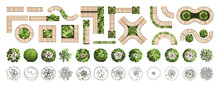 Top View Elements For The Landscape Design Plan. Trees And Benches For Architectural Floor Plans. Entourage Design. Various Trees, Bushes, And Shrubs. Vector Illustration.