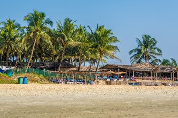 Wall Mural - coconut trees on ocean coast near tropical shack or open cafe on beach with sunbeds