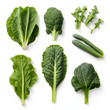 Minimalistic flat lay of assorted leafy greens isolated on white